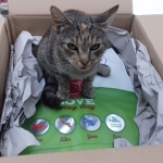 Alissa hat das Paket sofort in Beschlag genommen :-)