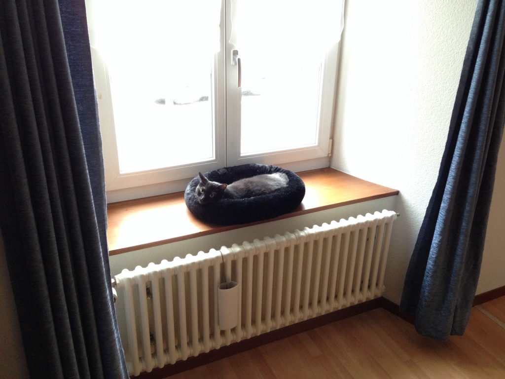 Balu in seinem neuen Zuhause