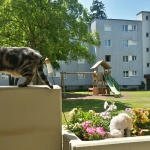 Tschipie und Bellbell in ihrem neuen Zuhause