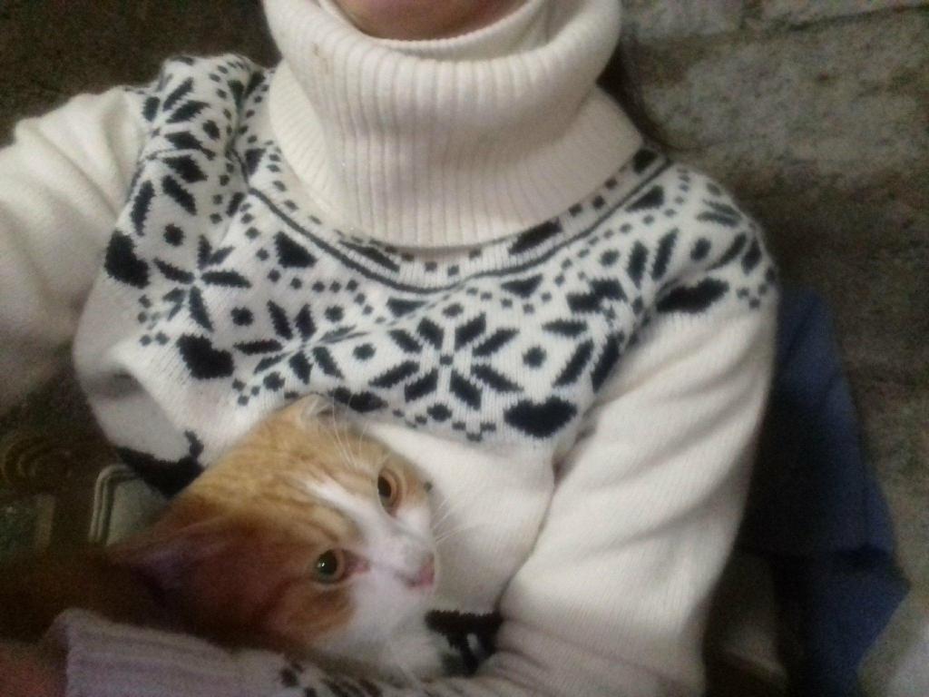César